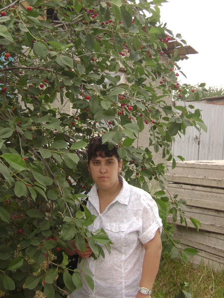 Елена Горохова