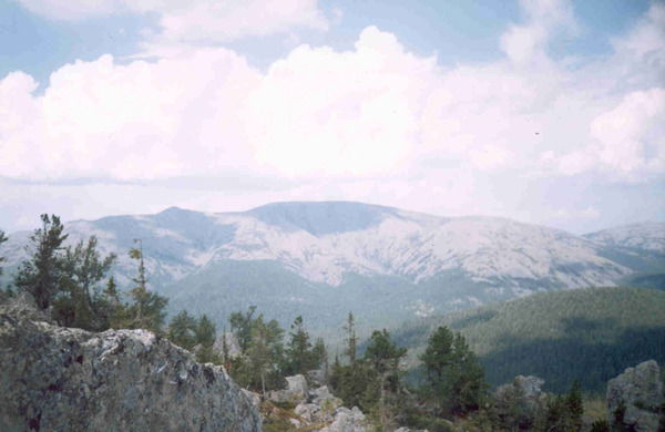 Алексей Никифоров