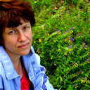 Елена Чернова