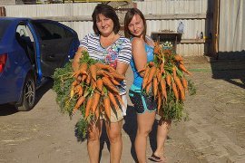 Наталья Ковалева