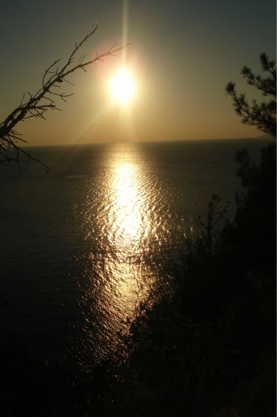 Аркадий Попруга