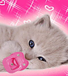 Наталья Андреева