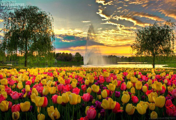 Елена Горбань