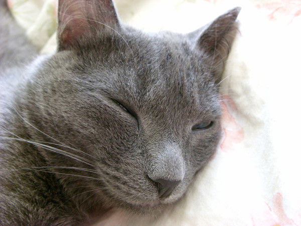 Артур Валиахметов