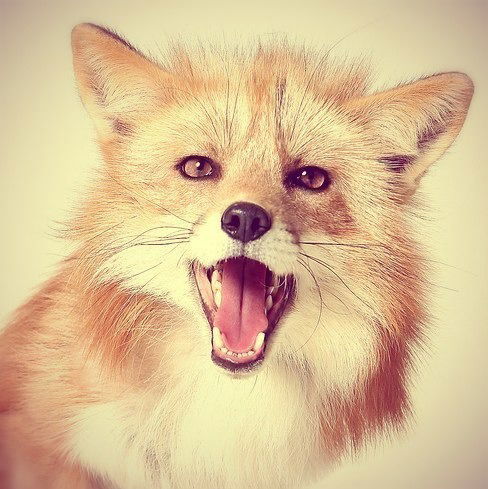 Игорь Сапронов