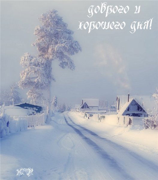 Елена Перцова