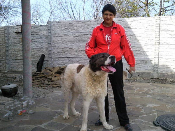 Галина Тращеева