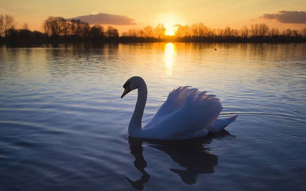 Ирина Шкурдюк