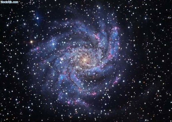 *сердцеед* Неизвестный