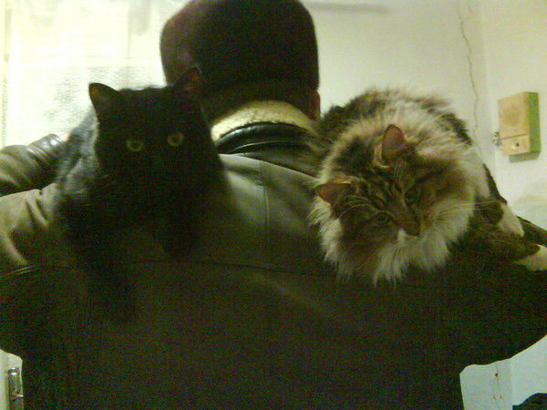 Юрий Бордюг