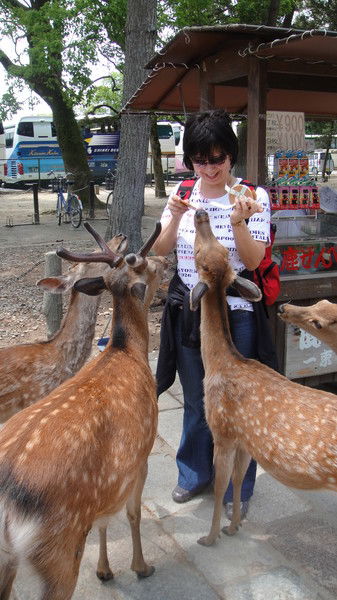 Светлана Каменчук