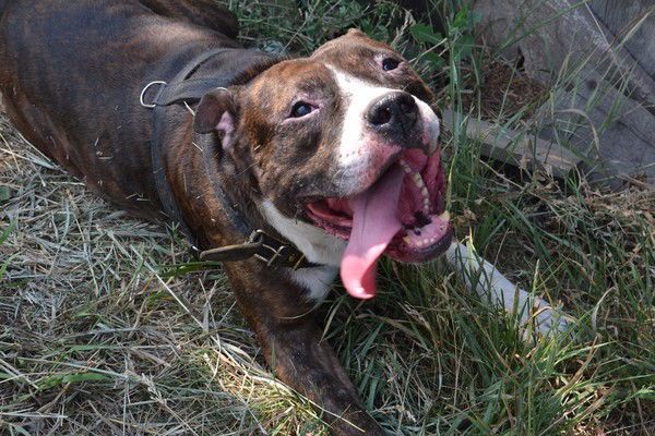 Олег Колесов