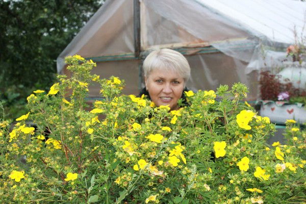 Надежда Шушпанова