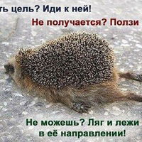 Марина Смирнова