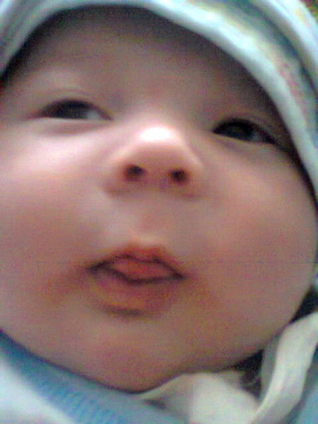 ???????????? ????????????