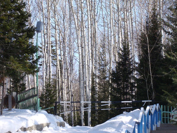 Андрей Коновалов