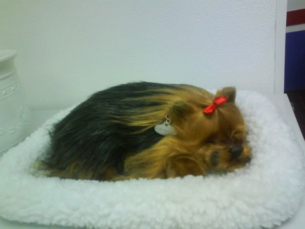 Елена Мальцева