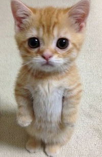 Игорь Шульга