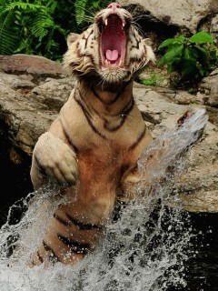 Алексей Любимов