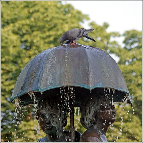 Дмитрий Дикань