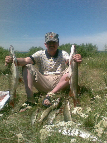 Баке Курман