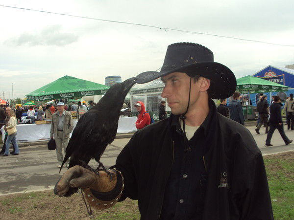 Белфаст Денис