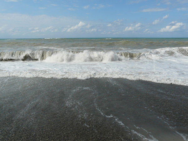 Антон Котов