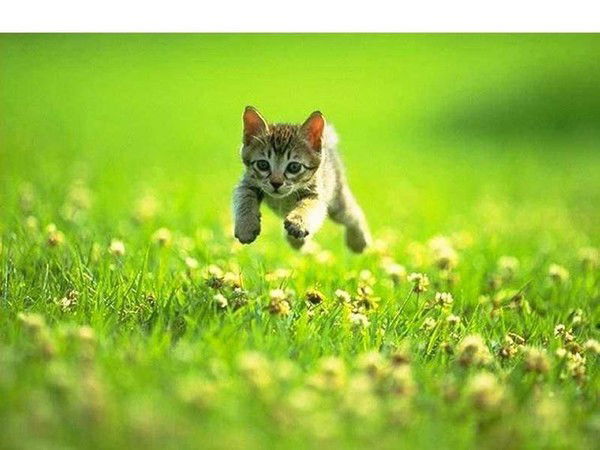 Татьяна Зайцева