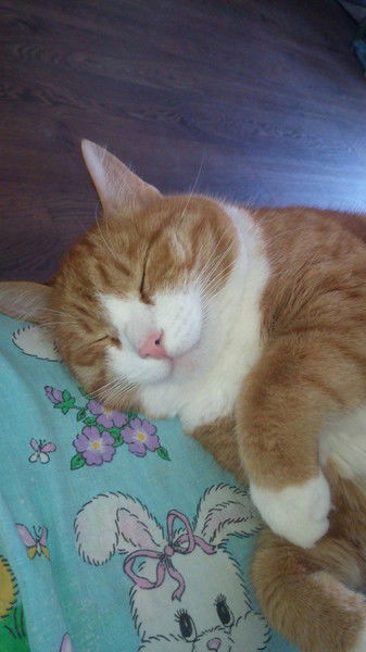 Евгения Сердюк