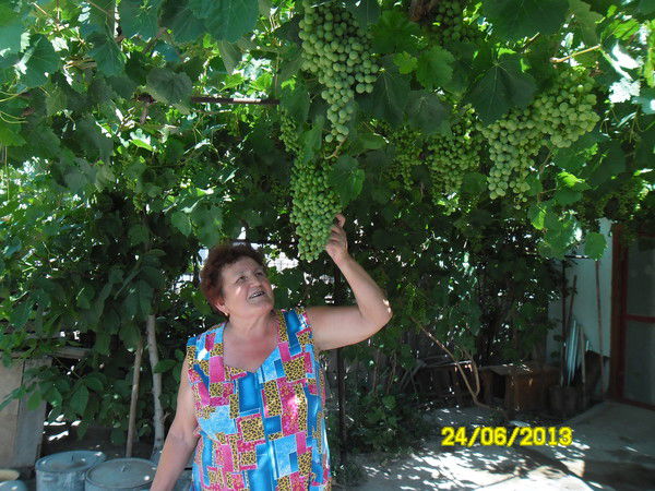 Марченко Люба И Николай