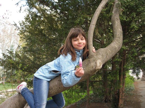 Саша Курлович