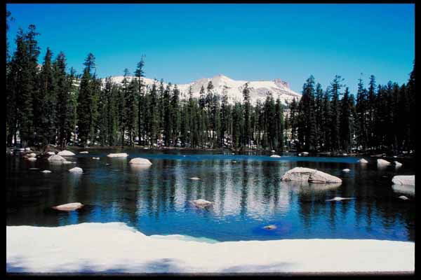 Елена Черкашина