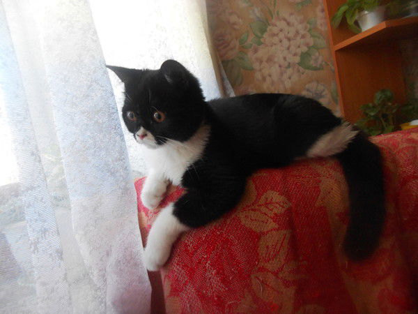 Тишковец Ольга