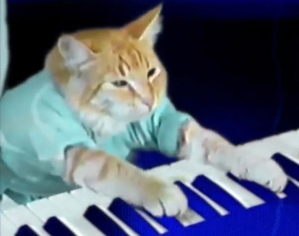 Николай Косогов