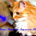 **innyl'^ca** @@