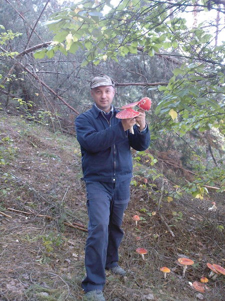 Андрей Прокофьев