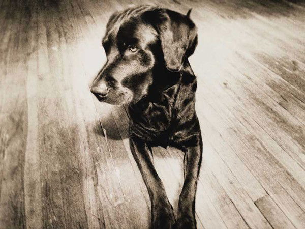 Рабдан Жалсанов