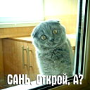 Данил Германюк