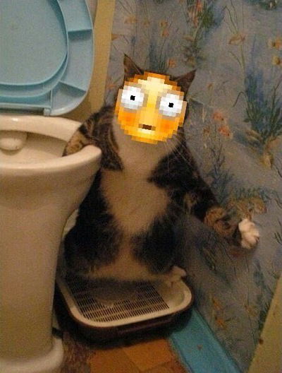 Дмитрий Гаврилов