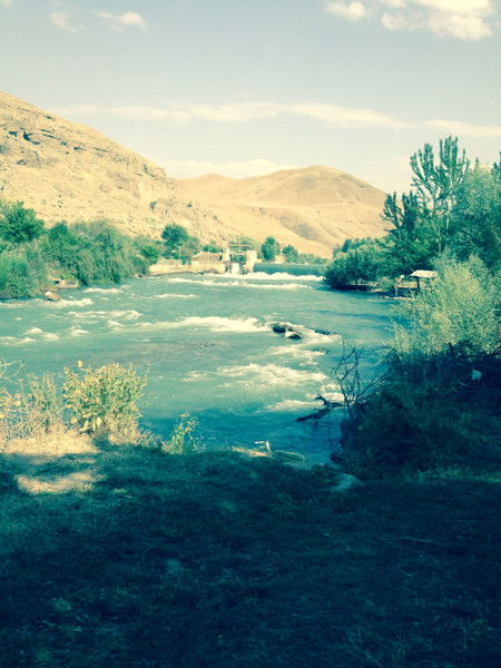 Мирлан Ташанов