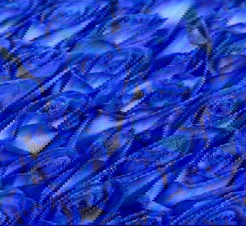 Гульмира Сарсембаева