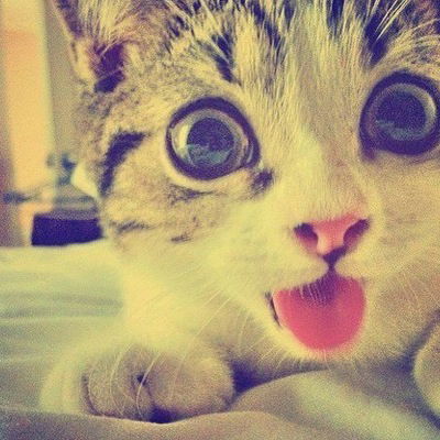 Анжелика Лис