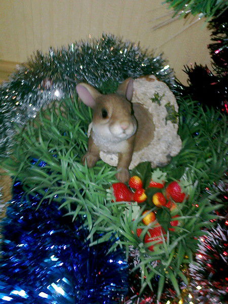 Зумрад Ширбекова