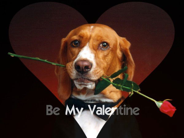 Рахимов Ильяс