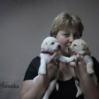 Елена Луцкая