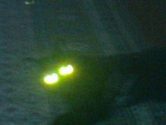 Олег Галкин