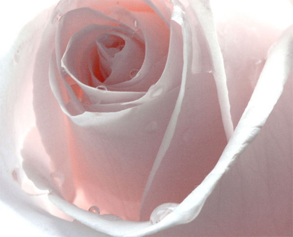 Valentina Tashevskaya