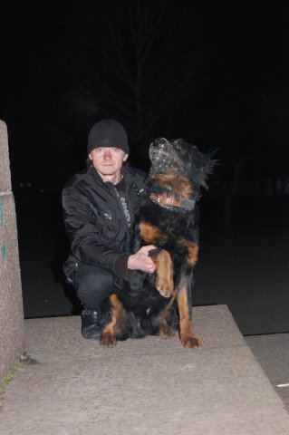 Михаил Яркин