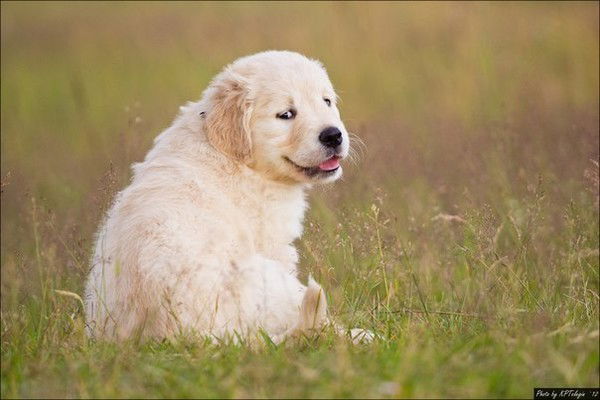 Геннадий Атаев