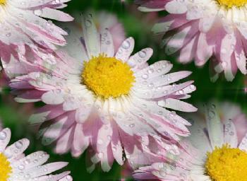 Кудымкар Цмп Кудымкар Цмп